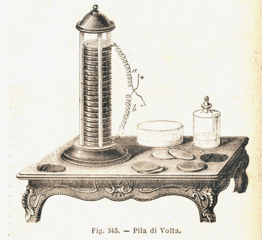 Pila origin