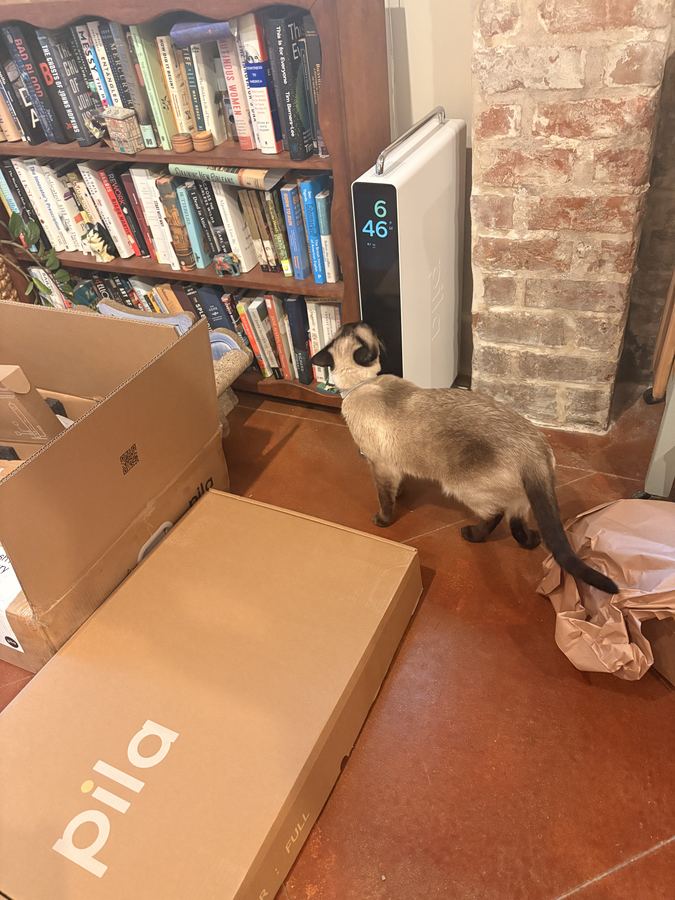 A cat checking out a newly delivered Pila